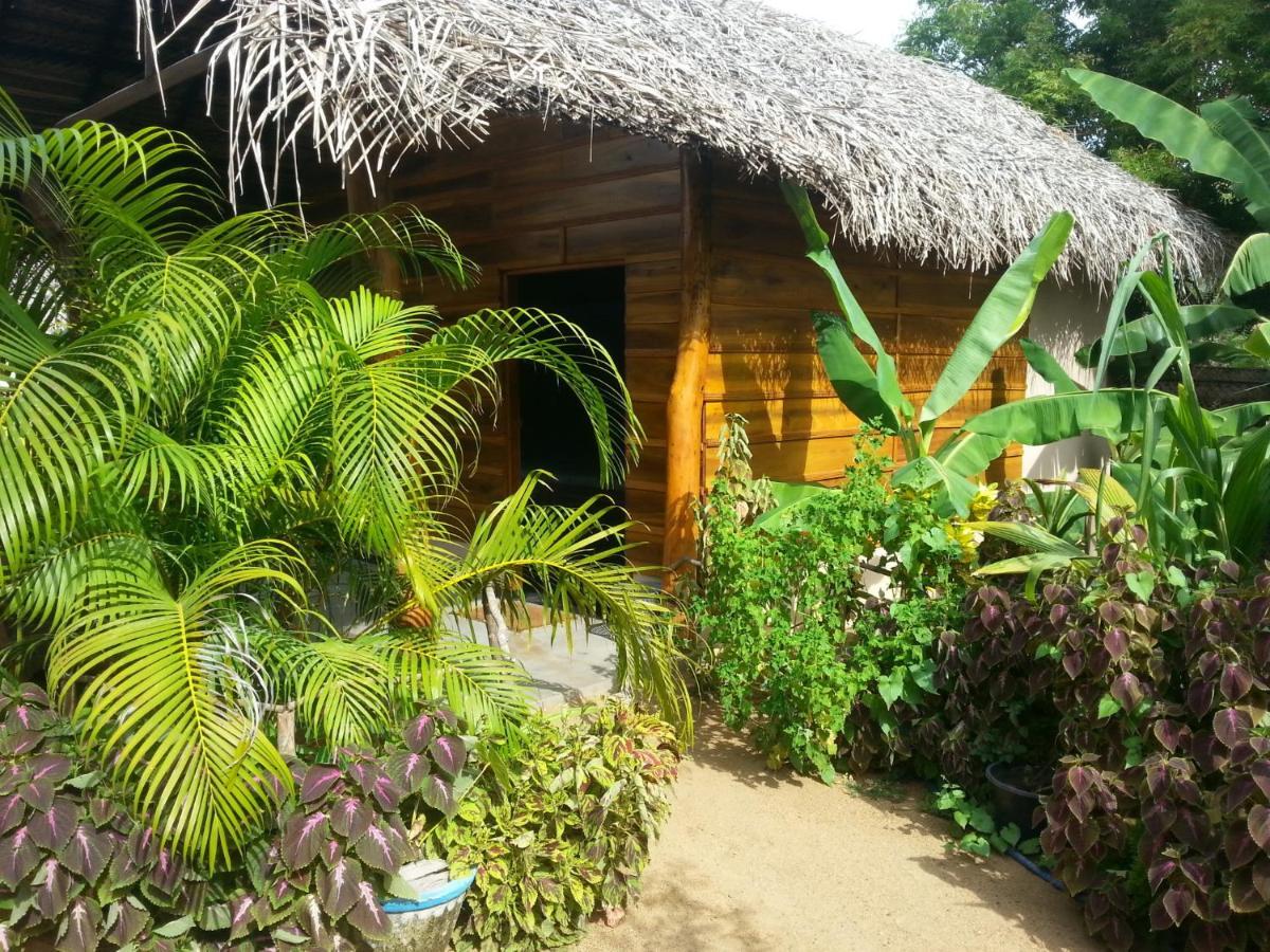 Garden Cottage Arugambay Arugam Bay Rum bild